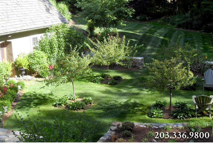 Landscape Design, Planting and Best Practices